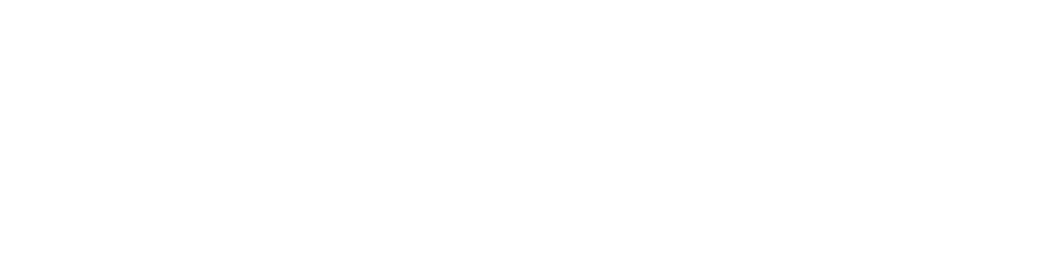 Leverage Digital Logo